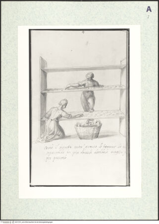 Vorderseite von bh372781_recto