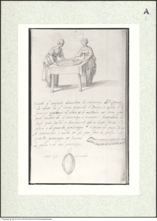 Vorderseite von bh372787_recto