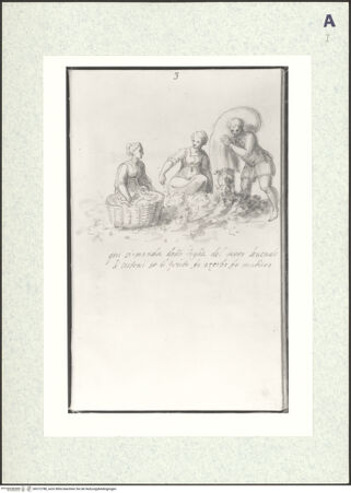 Vorderseite von bh372788_recto