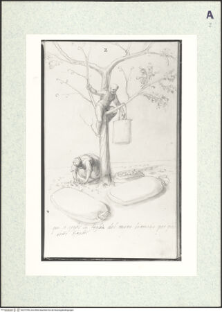 Vorderseite von bh372789_recto