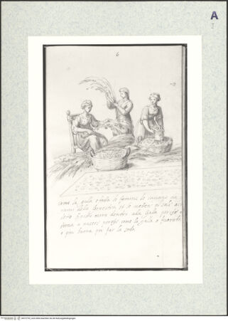 Vorderseite von bh372792_recto