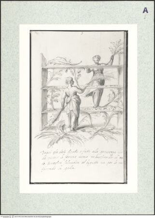 Vorderseite von bh372794_recto