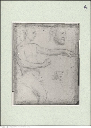 Vorderseite von bh372954_recto