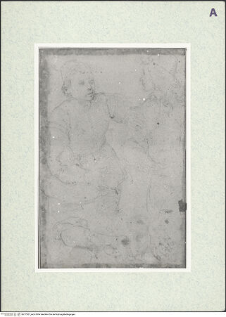 Vorderseite von bh372957_recto