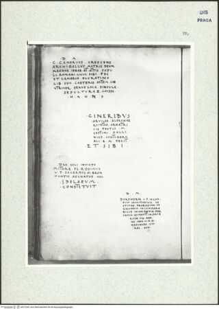 Vorderseite von bh373260_recto