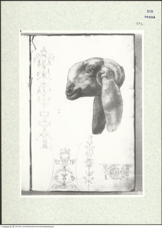 Vorderseite von bh373297_recto