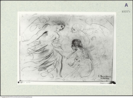 Vorderseite von bh373519_recto