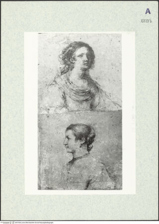 Vorderseite von bh373524_recto