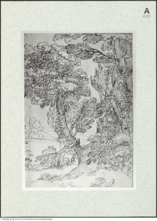 Vorderseite von bh373527_recto