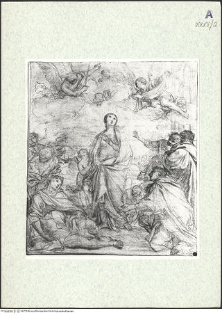 Vorderseite von bh373548_recto