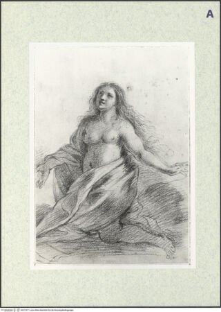 Vorderseite von bh373571_recto