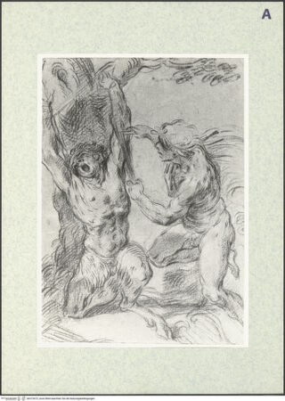 Vorderseite von bh373572_recto