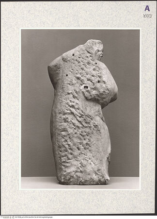 Vorderseite von bh373886_recto