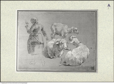 Vorderseite von bh373986_recto