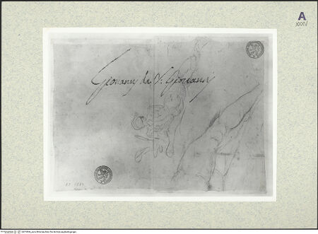 Vorderseite von bh374066_recto