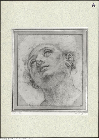 Vorderseite von bh374075_recto