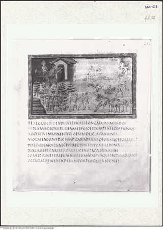 Vorderseite von bh374516_recto