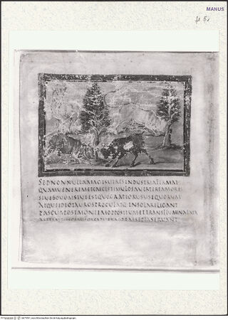 Vorderseite von bh374541_recto