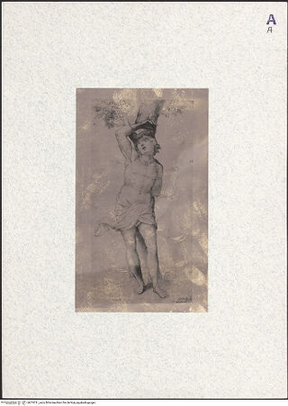 Vorderseite von bh374711_recto