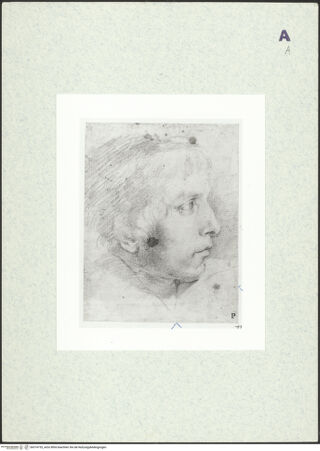 Vorderseite von bh374735_recto