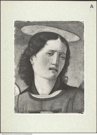 Vorderseite von bh374901_recto