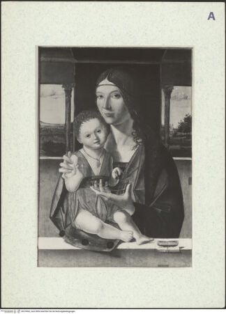 Vorderseite von bh374962_recto