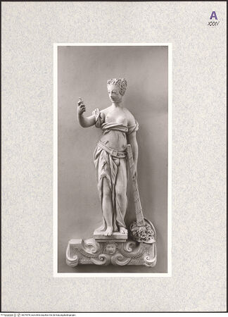 Vorderseite von bh374976_recto