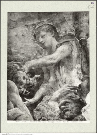 Vorderseite von bh375127_recto