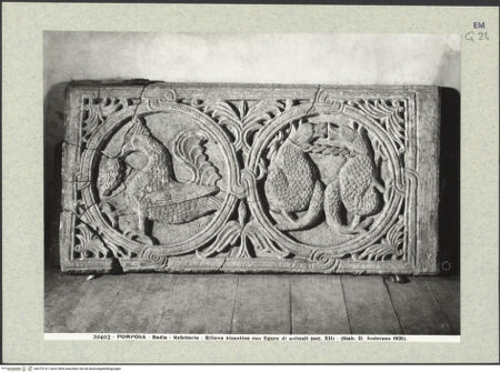 Vorderseite von Alinari [https://www.deutsche-digitale-bibliothek.de/content/lizenzen/rv-ez/] Relief mit Hahn (oder Basilisk) und Wölfen - Gesamtansicht, bh375147_recto. Foto.