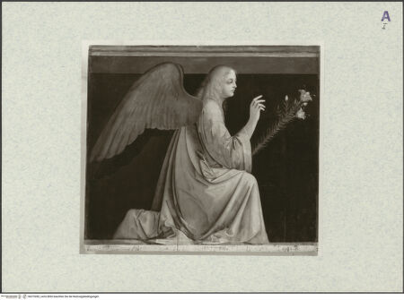 Vorderseite von bh375282_recto