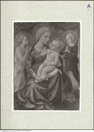 Vorderseite von bh375303_recto