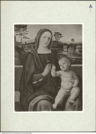 Vorderseite von bh375316_recto