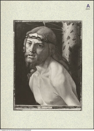 Vorderseite von bh375403_recto