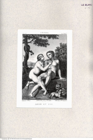 Vorderseite von bh375803