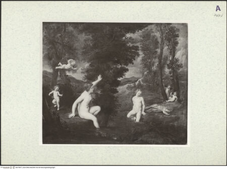 Vorderseite von bh375877_recto