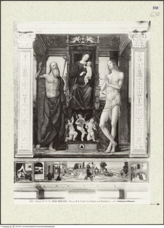 Vorderseite von bh375977_recto