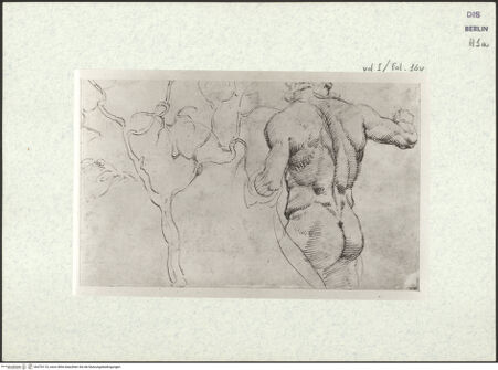 Vorderseite von bh376110_recto