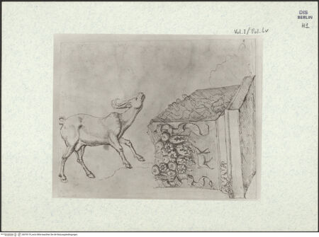 Vorderseite von bh376119_recto