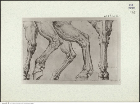 Vorderseite von bh376350_recto