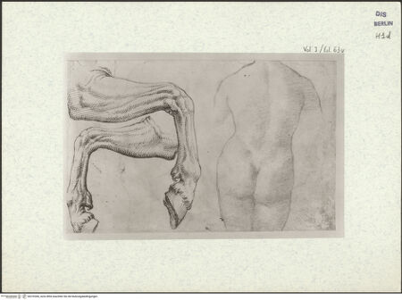 Vorderseite von bh376366_recto