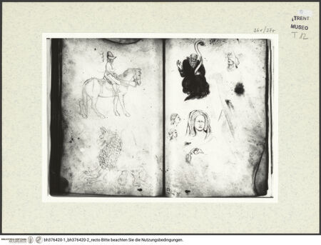 Vorderseite von bh376420-1_bh376420-2_recto