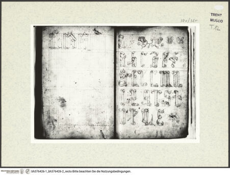 Vorderseite von bh376426-1_bh376426-2_recto