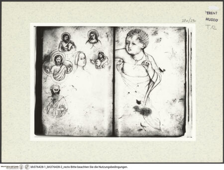 Vorderseite von bh376428-1_bh376428-2_recto