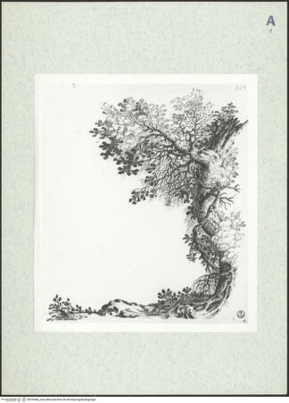 Vorderseite von bh376480_recto