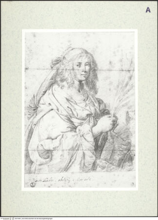 Vorderseite von bh376481_recto