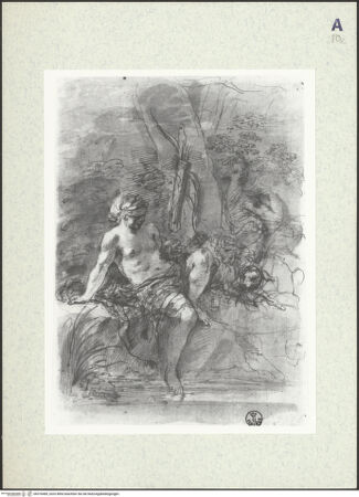 Vorderseite von bh376489_recto