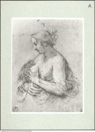 Vorderseite von bh376558_recto