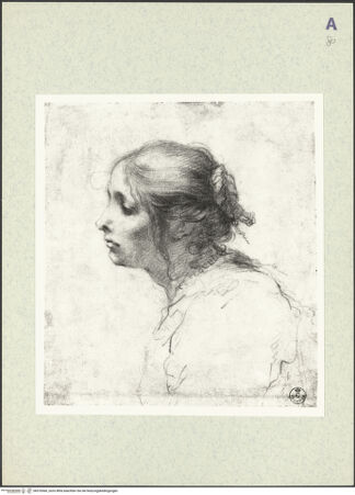 Vorderseite von bh376560_recto