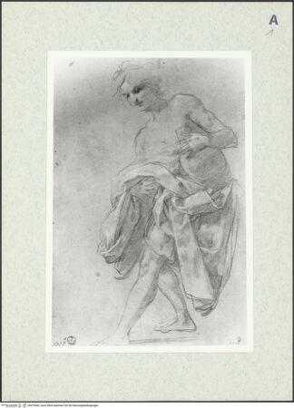 Vorderseite von bh376562_recto