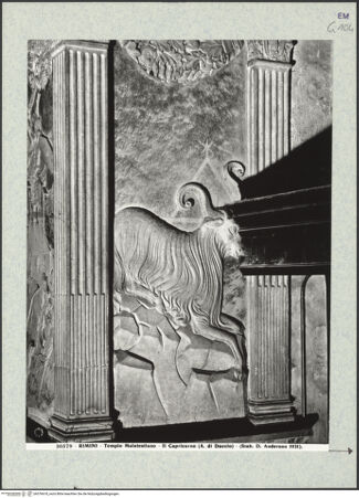 Vorderseite von bh376618_recto